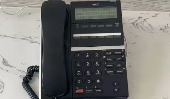 NEC-DT400